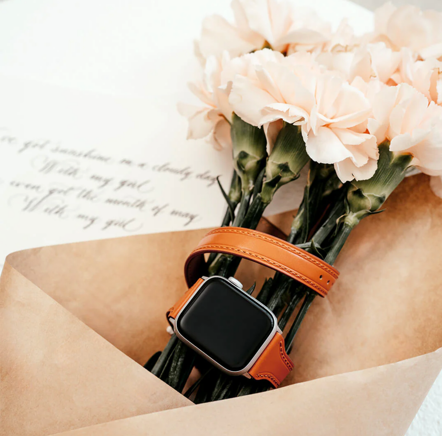 Bransoletka Double Loop dla Apple Watch